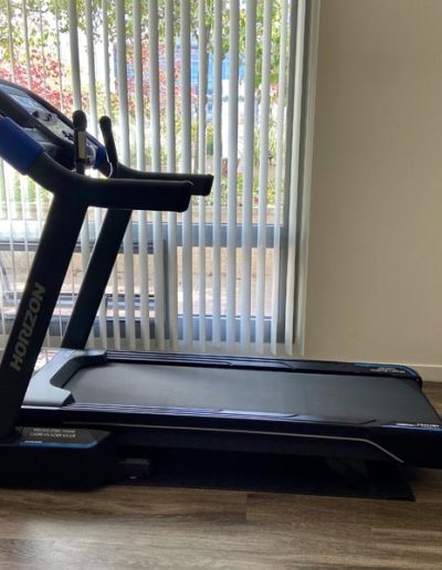 Horizon treadmill installation and assembly